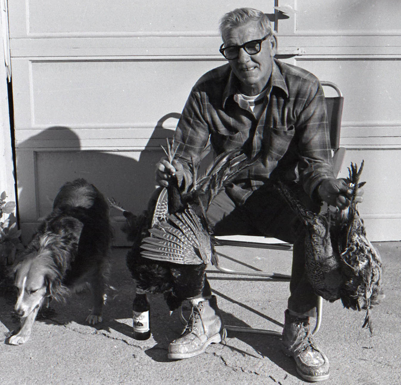 ./dad_pheasants_smaller_1774572566067